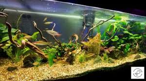 As peat moss leaves a lot of colors, and turns give a yellow tinge to the water after a while, that is why adding it directly in the aquarium. How To Use Purigen Steps Hob Internal Sponge Filters Etc