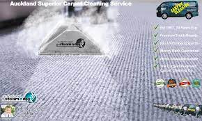 carpet cleaning auckland steam n dry