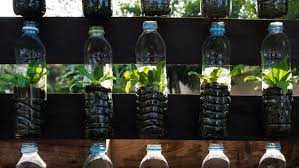 Manfaat berkebun tanaman sayuran di rumah. Cara Mudah Menanam Hidroponik Dengan Botol Bekas