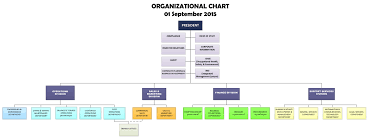 Cruise Ship Organizational Chart