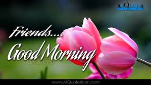 This page is dedicated to 157 beautiful good morning. Best Morning Wishes For Friends In English Hd Pictures Nice Good Morning Quotes Images English Quotes