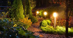 Light Up The Night Landscape Lighting