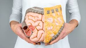 intriguing facts about the intestines
