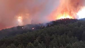 Jul 27, 2021 · muğla'da çıkan orman yangını söndürüldü. Orman Yanginini Yasaklarla Onleyemeyiz Orman Yanginlari Sevgiyle Onlenebilir Son Dakika Haberleri