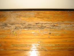 how to protect your laminate flooring