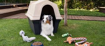 what is the best dog kennel petstock