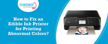 fix an edible ink printer for printing