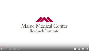 Welcome To The Maine Medical Center Research Institute Mmcri