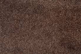brown carpet images free on