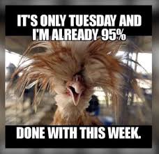 From tuesday being second worse to monday to taco tuesday memes, enjoy these funnies about the second these hilariously funny it's only tuesday memes explain the feeling of realizing what day it is. Tuesday Meme Work