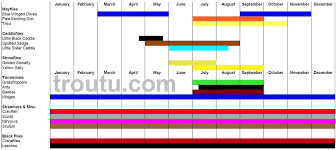 Fly Fishing Hatch Charts Trout Pro Store