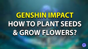 how to plant seeds grow flowers in