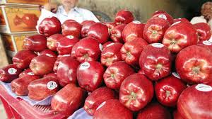 Apple Price In India Mellows As Imported Varieties Sell