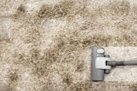 dirty carpet cause fungal infections