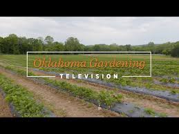 Crops On The Best Of Oklahoma Gardening