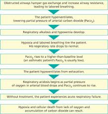 Respiratory Care Nurse Key