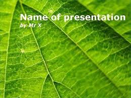 Leaf Powerpoint Templates