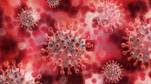 The union health ministry on tuesday categorised the delta plus variant of the novel coronavirus, so far detected in three states in the country, as a 'variant of. New Covid Variant Identified