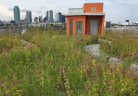 A Rooftop Urban Oasis Springs To Life