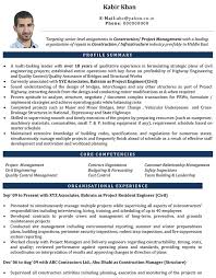 Browse through our list of the best software engineer cv examples for some inspiration when putting your own together. Civil Engineer Cv Format Civil Engineer Resume Sample And Template