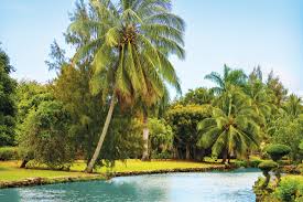 Three on the island of kauai, one on maui, and. Find A Natural Oasis At This Kauai Botanical Garden Hawaii Magazine