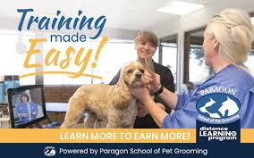 We provide doggie daycare, dog and cat boarding and grooming services in our beautiful 1+ acre facility. Schools Petgroomer Com