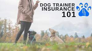 Dog Trainer Insurance gambar png