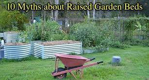 Raised Bed Vegetable Gardens