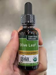 olive leaf extract benefits 1 500x