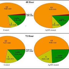 Pie Chart Depicting Cells Percentage Present Under Different