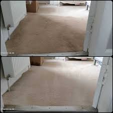 sapphire cleaning carpet cleaning