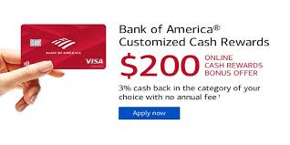 That reluctance is largely due to fees associated with processing. Bank Of America Credit Card Payment How To Pay Online Phone Mail