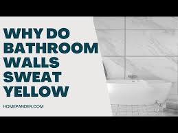 Why Do You Bathroom Walls Sweat Yellow