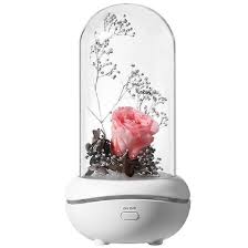 Eternal Flower Fragrance Lamp Glass