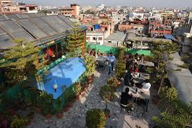 Nepalaya Rooftop Garden Picture Of