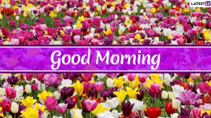 good morning flowers latest news