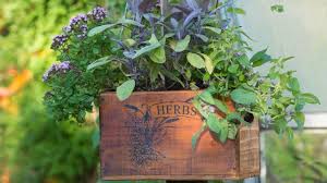herb garden ideas 21 ways to grow