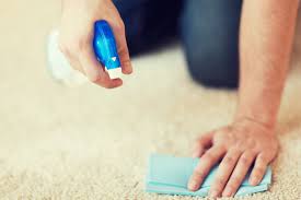 Comment nettoyer votre tapis sans perdre de temps ?