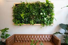 living wall in your apartment