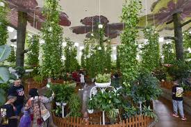 largest indoor erfly garden