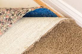 detect mold in carpet smell test