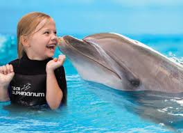 swimming therapy with dolphins at dubai