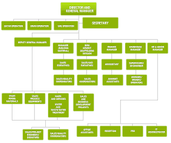 Organizational Chart Musandum