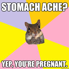 stomach ache? yep, you&#39;re pregnant. - Hypochondriac Squirrel ... via Relatably.com