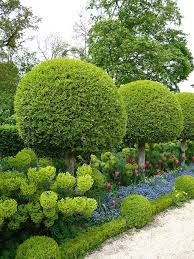 Topiary Garden Boxwood Garden Garden