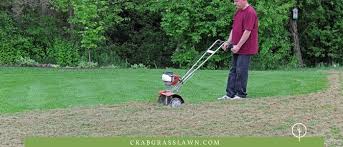 You would like how the machine's handle folds over. Power Rake Vs Dethatcher Differences How They Work Cg Lawn