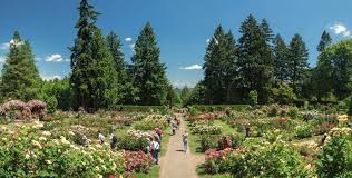 Guide To Washington Park In Portland Via