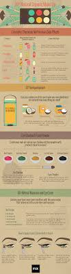 diy organic cosmetics infographic
