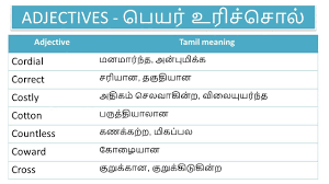 500 adjective words with tamil meaning