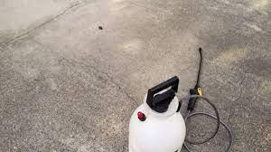 use bleach to clean concrete driveways
